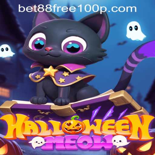 Step Into the Spooky World of HalloweenMeow: A Thrilling Gaming Adventure